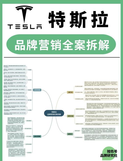 重庆江北区胜洲商务信息咨询特斯拉的市场竞争力分析优势与挑战(特斯拉的市场竞争力技术创新与品牌优势)